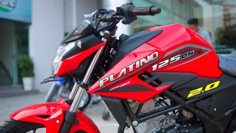Bajaj Platina 110